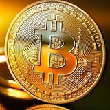 Bitcoin Viral, 44 года