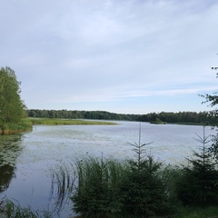 Дмитрий Лёлькин, Санкт-Петербург