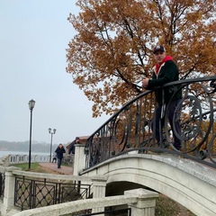 Николай Вересов, Санкт-Петербург