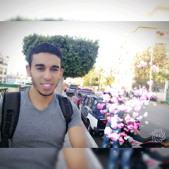 Kareem Hmd, 30 лет, Sohag