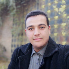 Mohamed Chikh, Djelfa