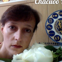 Елена Толкачева, 43 года, Омск