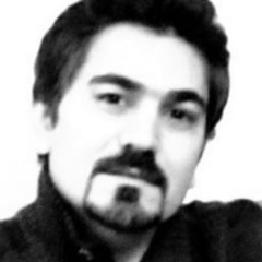 Reza Heidatzadeh, 47 лет, Rasht