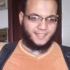 Mohamed Afifi, 33 года, Cairo