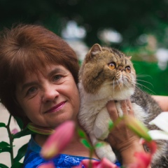 Татьяна Баляба, 61 год, Мелитополь