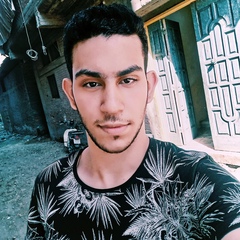 Ahmed Elkhodary, 22 года, Damietta