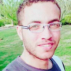 Abdullah Sabek, 29 лет, Cairo