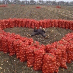 Ярослав Лиценко, Харьков