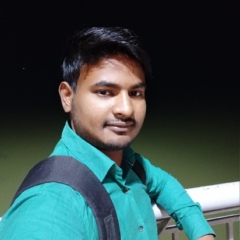 Sushil Kumar, 28 лет, Patna