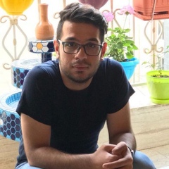 Mohammadreza Nikoobayan, 27 лет, Tehran