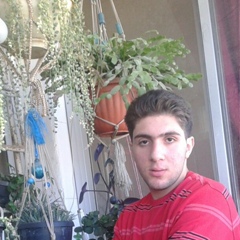 Mohammed Ody, 29 лет, Damascus