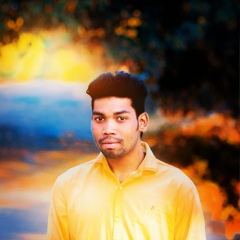 Pranay Magre, 29 лет, Chandrapur