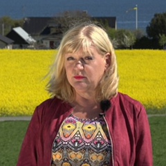 Ingrid Carlqvist, 64 года, Helsingborg