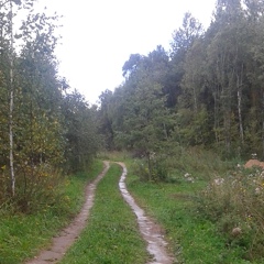 Заур Апсолихов, Якутск