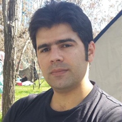 Bahman Balerian, 39 лет, Qazvin