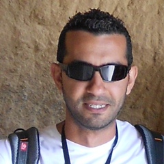 Hani Ibrahim, 44 года, Cairo