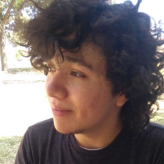 Rodrigo Ríos, 27 лет, Ciudad Juárez