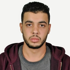 Walid Mehidi, 28 лет, Alger