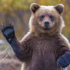 Олег Савичев, Гомель