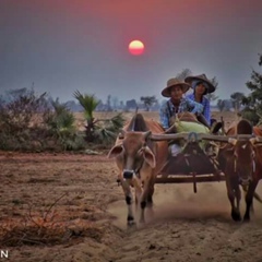 ကို လူပ်ိဳ, 31 год