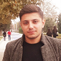 Yasin Abbasov, 25 лет, Гянджа