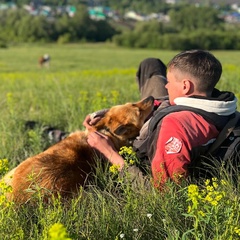 Айнур Салимгараев, 36 лет, Нижнекамск