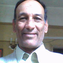 Adel Amer, 72 года, Cairo