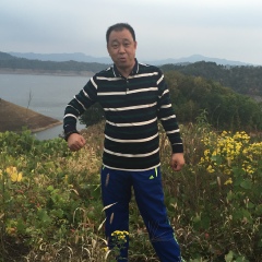 Sam Li, Dalian