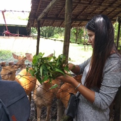 Hnin Hnin, 30 лет, Yangon