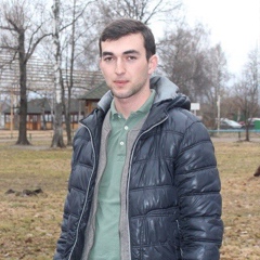 Levon Aleksanyan, 32 года, Москва