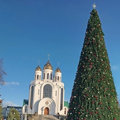 Юрий Шукшин, Калининград