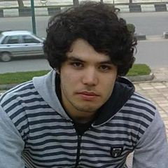 Keyvan Shakeri, 33 года, Sanandaj