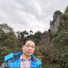 Bo Zhang, 50 лет, Mianyang