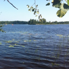 Александр Кужель, Санкт-Петербург