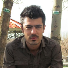 Ramin Musavi khah, 36 лет, Tehran