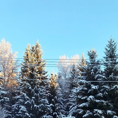 Марина Григорьева, Санкт-Петербург