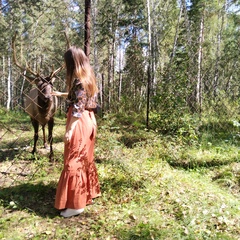 Светлана Семёнова, 41 год, Новоалтайск