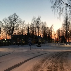 Park-So Kim, 22 года, Luleå