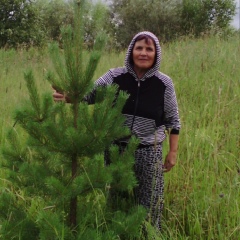 Галина Меркушова, 67 лет