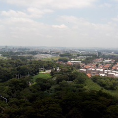 Luis Mestre, São Paulo