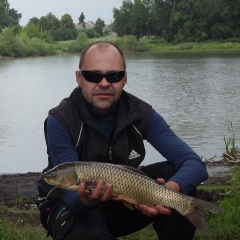 Сергей Асман, Ровно