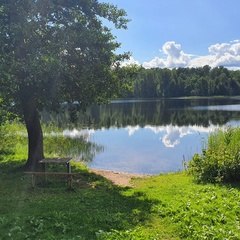 Олег Бахов, Санкт-Петербург