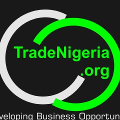 Trade Nigeria, 25 лет, Abuja