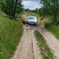 Сергей Миненков, Гомель