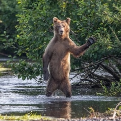 Дима Иванов