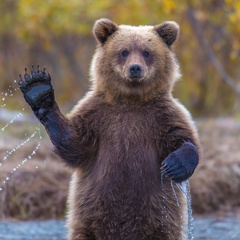 Данил Саимов, Липецк