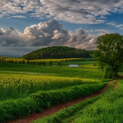 Анна К, Барнаул (деревня)