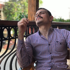 Mohamed Samy, 27 лет, Cairo