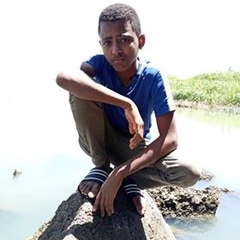 Yohans Wale, 27 лет, Bahir Dar