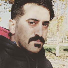 Sina Porian, 34 года, Isfahan